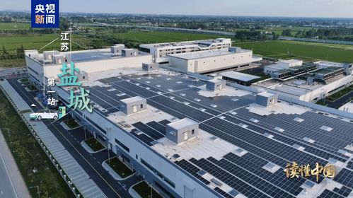 讀懂中國 歐洲青年體驗中國式現代化丨前進 新能源汽車 鹽城推廣服務