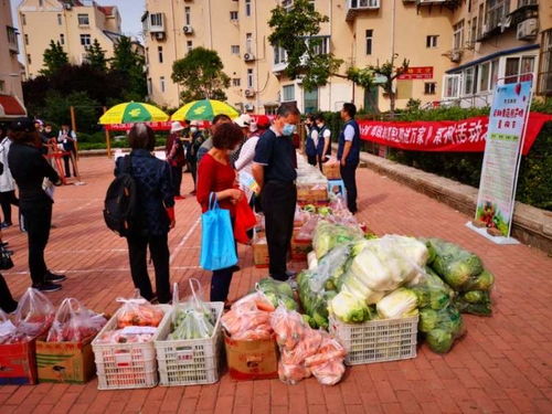 青島市南湛山社區 半小時售罄3000斤！新鮮蔬果進社區，助農惠企利民見實效